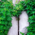 ARG_0010_01