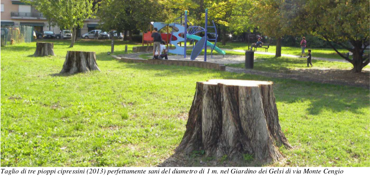 taglio_alberi_padova