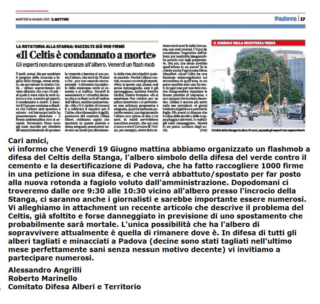 Celtis Mattino 16 Giugno 2015