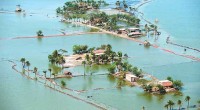   I cambiamenti climatici e l’urgenza di una nuova concezione di riforma agrariadi Douglas Estevam – del MST- Brasile (traduzione di Serena Romagnoli) Nel febbraio 2014, il Movimento Sem Terra-MST […]